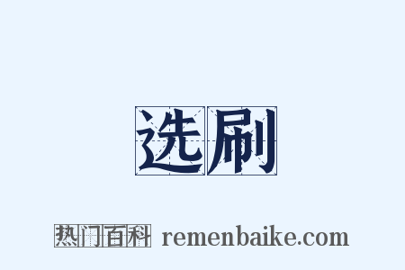 选刷是什么意思的图片